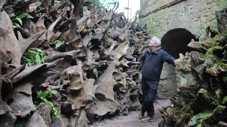 Head Gardener Paul Walton with the newly finished section of stumpery at Biddulph Grange Garden
